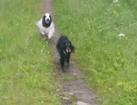 /album/luca/a11787237-10207107956955575-2040454236-n-1-jpg/